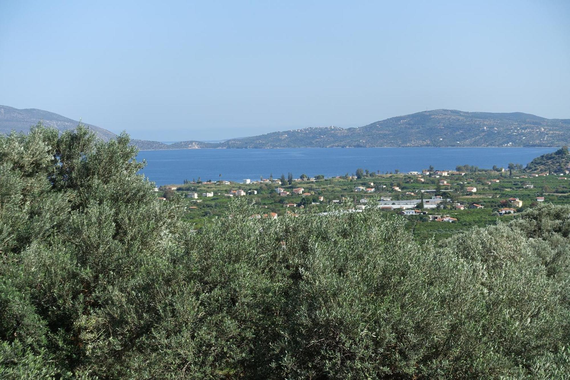 Studio In Villa In Kalloni Direkt Am Meer ภายนอก รูปภาพ